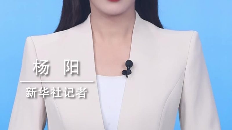 数据仓库建设：企业数字化转型的核心基石**